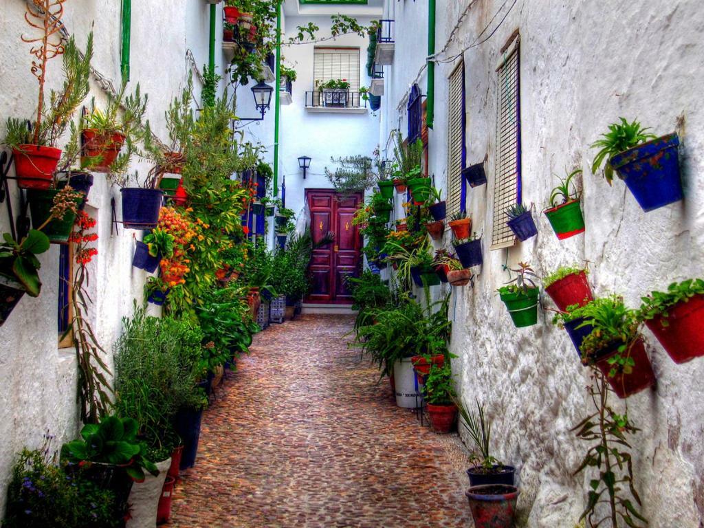 El Patio Dona Julia Apartment Casares Exterior photo