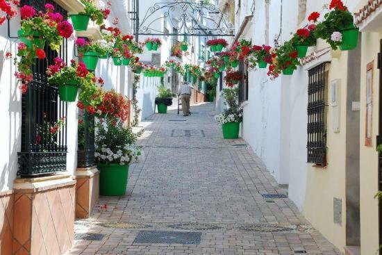 El Patio Dona Julia Apartment Casares Exterior photo